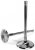 Manley insugsventil 11/32" x 2,40" x 6,60", SS, BBC Dart Big Chief
